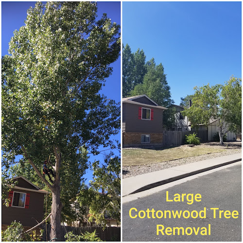 Fort Collins Junk Removal and Demo