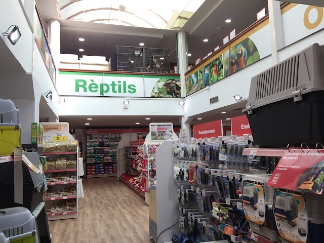 Kiwoko. Mundo Animal