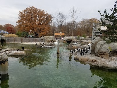 Maryland Zoo Penguin Gate