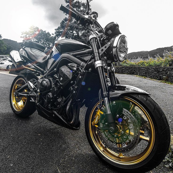 Two Wheel Cult photo 2