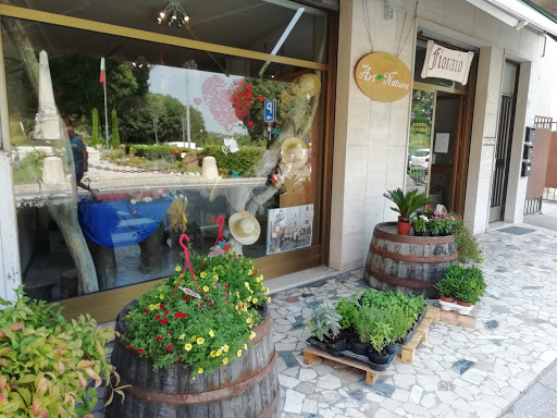 ArteNatura - Visual
