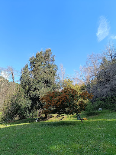 Tenuta Pantanacci