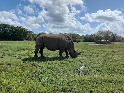 Lion Country Safari