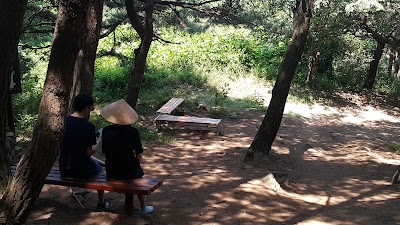 Photos of 아미산