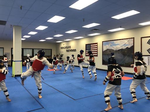 World Class Taekwondo