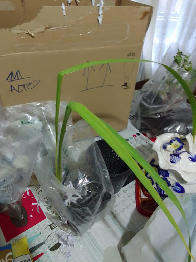 Azienda Natura Viva Padova Di Sposito Manuela - Thumbnail