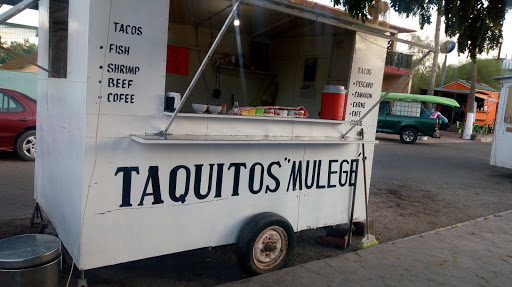 Taquitos Mulegé - Thumbnail