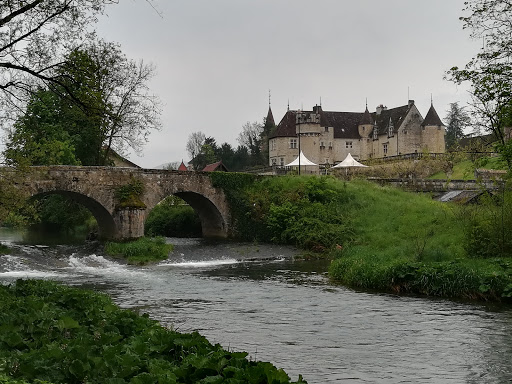 Photo de Château de DOMBLANS à Domblans (39210)