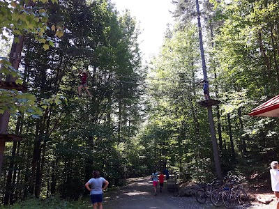 Photos of D'Arbre en Arbre