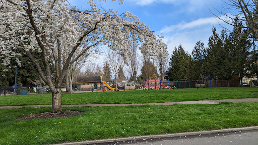 Bagley Park - Visual