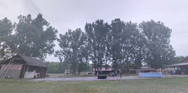 Hozzászólások és értékelések az Árpád Vére Lovasiskola és kalandpark-ról
