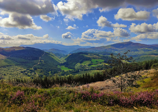 Coed y Brenin Forest Park - Thumbnail