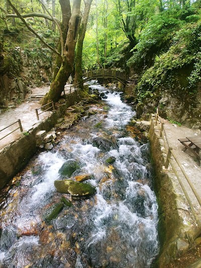 Ayazma Spring Nature Park