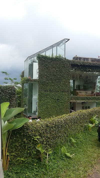 Photos of Tea garden resort