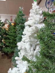 Photo n°9 de Emmaüs Vannes à Séné (Magasin d'articles d'occasion)