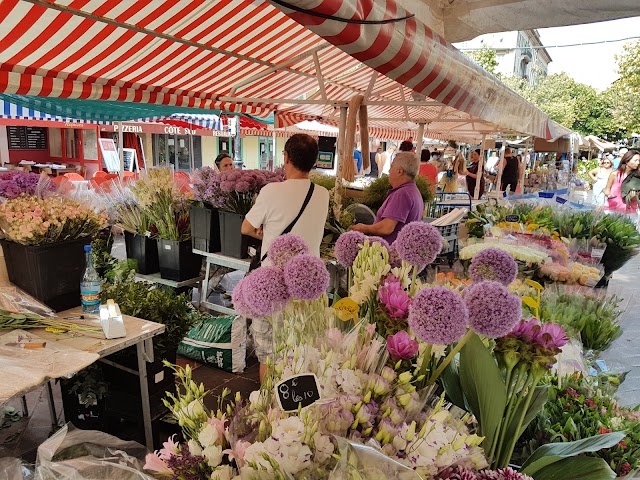 Marche Provencal