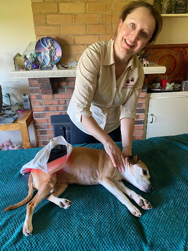 Pawsitive Animal Therapies Logo