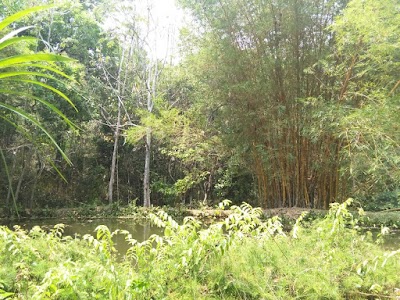 Photos of Sierra Sanjuan Ecolodge