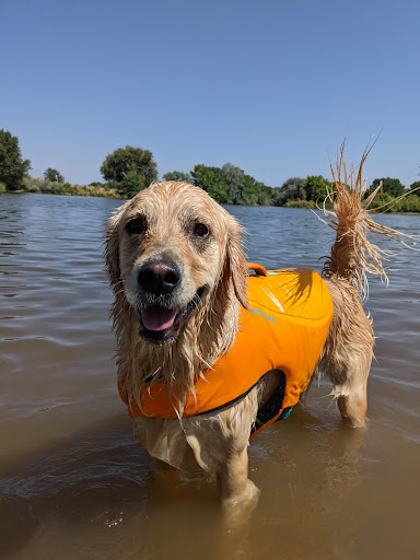 Chatfield Dog Park Gallery - United States