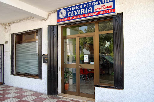 Clinica Veterinaria Elviria