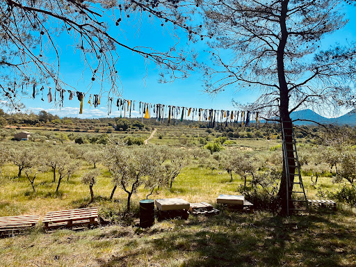 Photo de EAM Oriane Tavernes à Tavernes (83670)