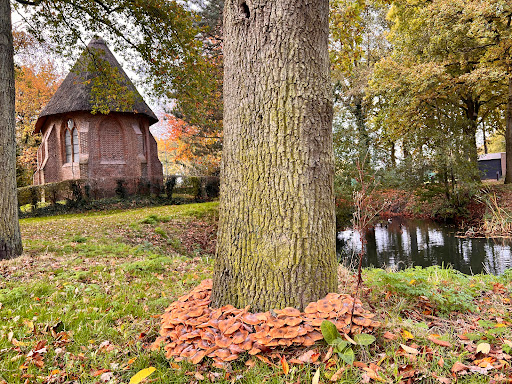 H. Maagd Maria en H. Dymphna kapel - Thumbnail