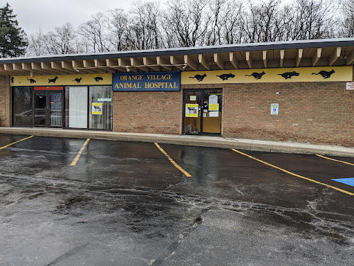 Orange Village Animal Hospital - Thumbnail