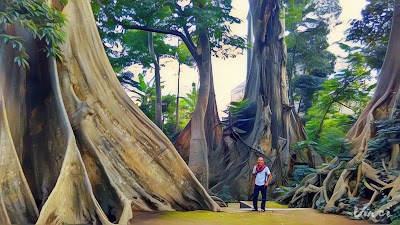 Photos of Umbul Leses