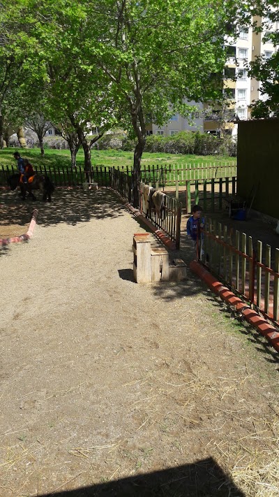 Photos of jurasıc park