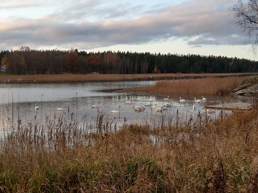 Vassända kyrkoruin
