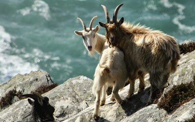 Photos of Hidden Kerry - Off the beaten track tours