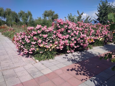 Photos of "Natali Rizord"