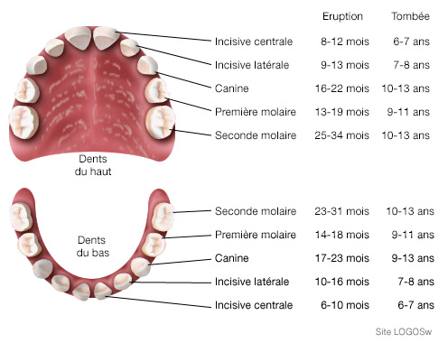 Hugues Poinsot dentiste epernay - Thumbnail
