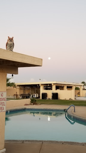 Yuma East Country Club - Thumbnail