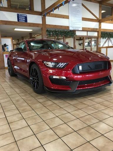 Bo Beuckman Ford - Thumbnail