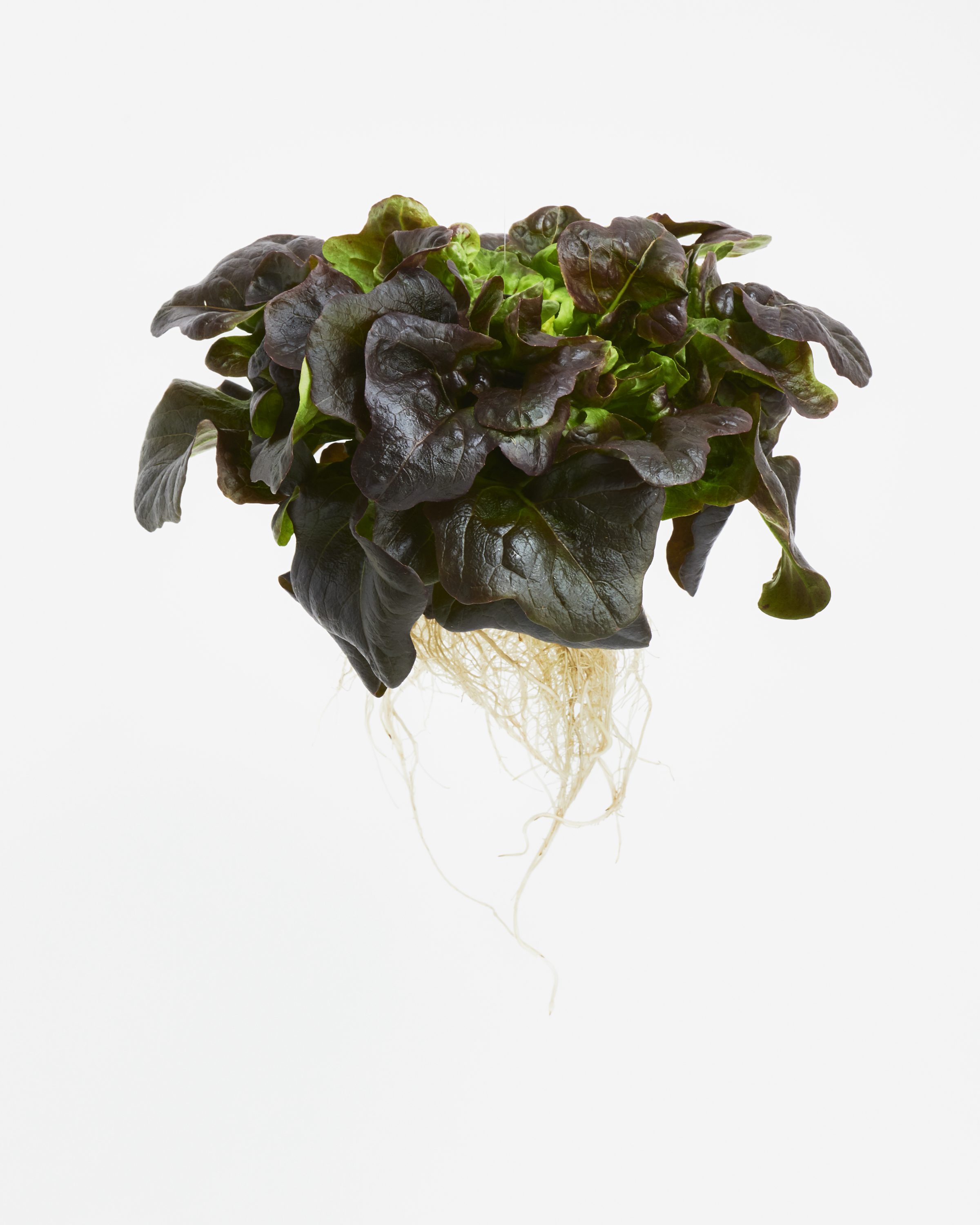 Streamline Farms