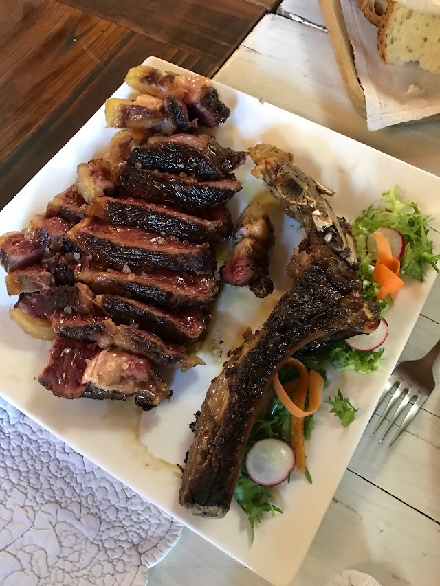 Tartaruga