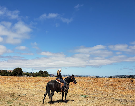 Tri-Cities Equestrian Arena - Thumbnail