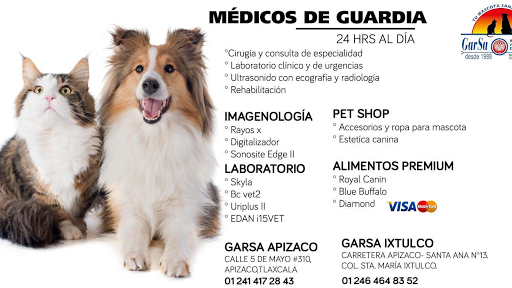 Hospital Veterinario de Especialidades GarSa Apizaco