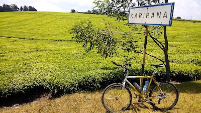 Photos of Karirana Estates Ltd