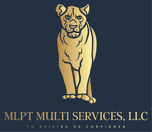 MLPT Multi Services, LLC - Visual
