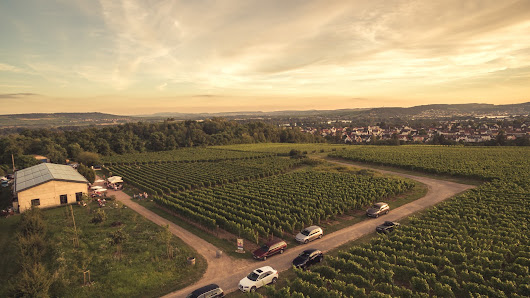 Weingut Dillmann Langestraße 17A, 65366 Geisenheim, Deutschland