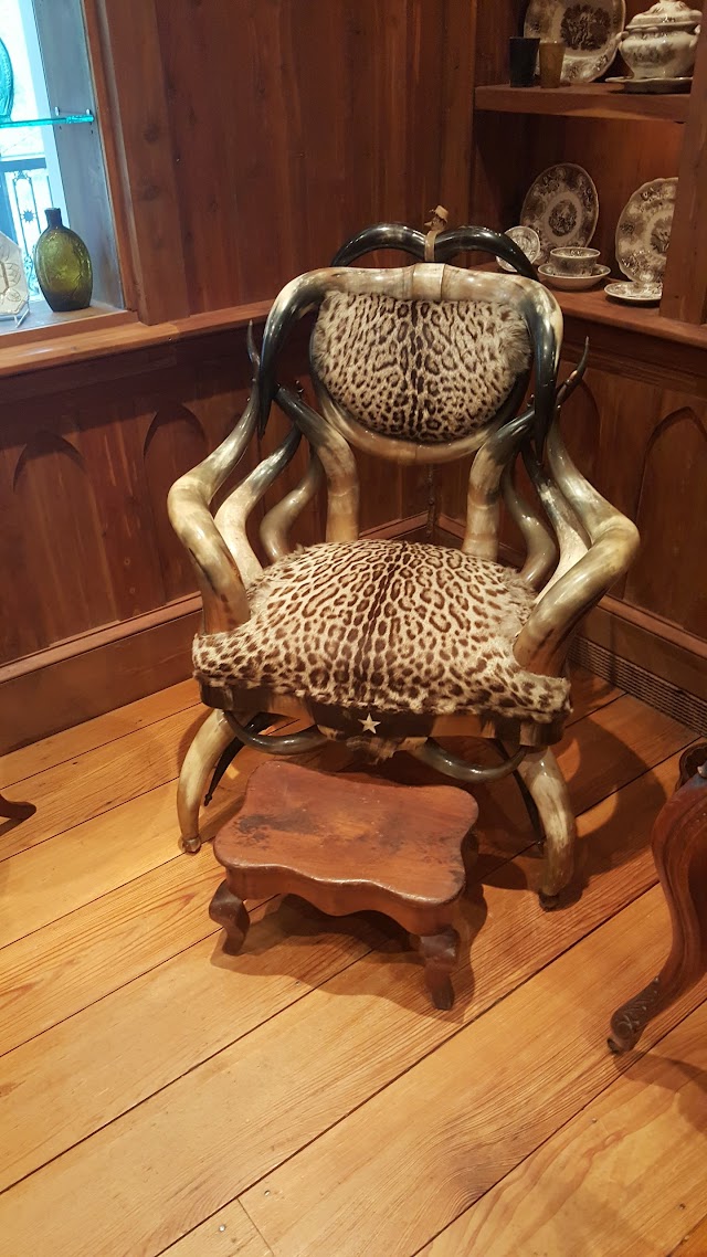 Bayou Bend Collection and Gardens