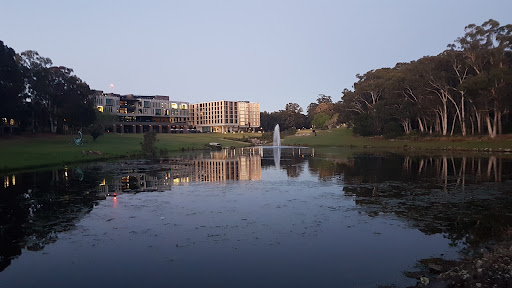 Macquarie Lake - Thumbnail