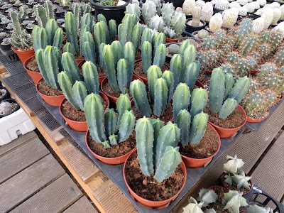 Photos of 과천화훼단지