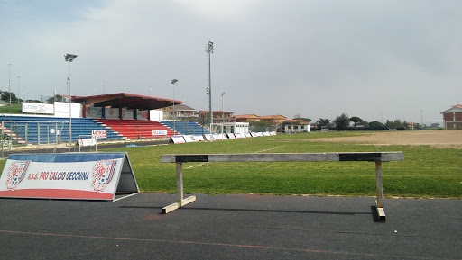 Atletica Cecchina Al.Pa. - Thumbnail