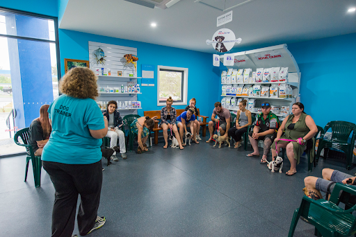 Blue & White Veterinary Clinic Nambucca Heads - Thumbnail