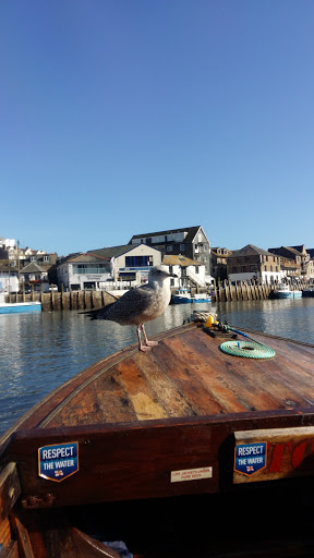 Luxstowe Vets, Looe Gallery - United Kingdom