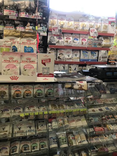 Зоомагазин