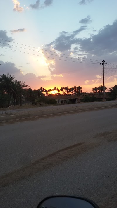 Photos of Auto industry in Alsjarih
